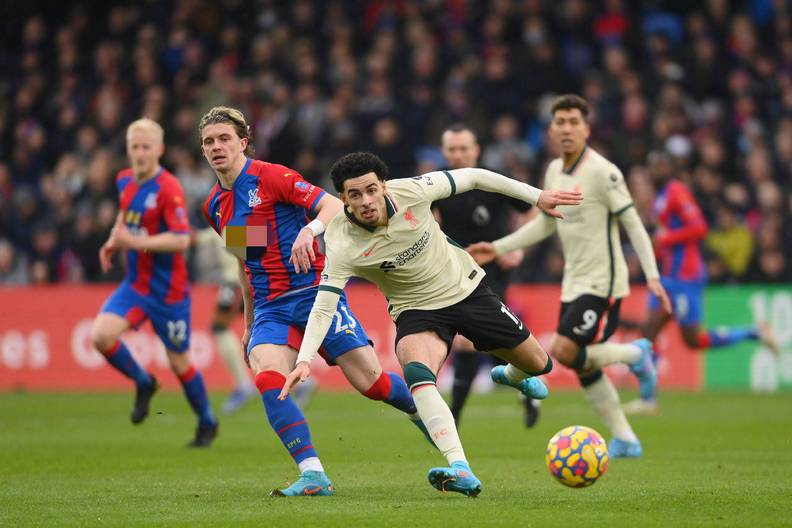 在体育界屡 在体育界屡