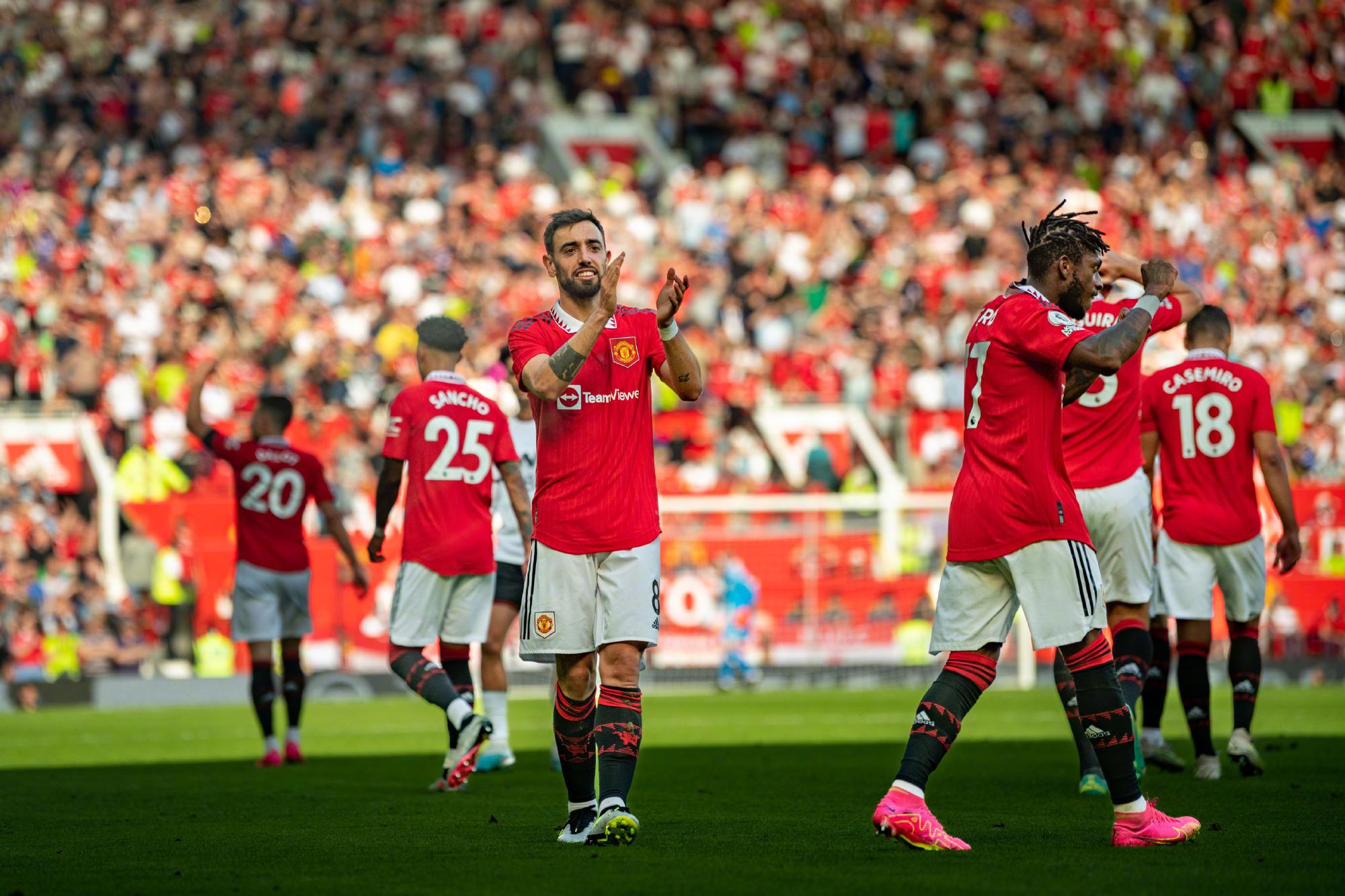 和多样化踢 和多样化踢